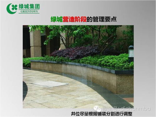 綠城園林景觀工程管理關鍵點 從設計到養護的全流程實戰解析