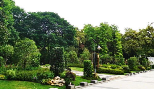 喜訊！人文園林榮獲2020年杭州市優秀園林綠化工程兩項金獎